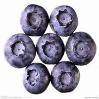 简单水果微信头像