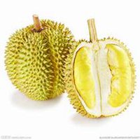 山楂卡通水果头像