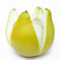 头像中间一个小水果