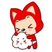 九尾妖狐阿狸13年头像