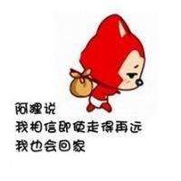 阿狸向国旗敬礼头像会动