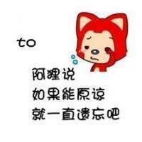 阿狸向国旗敬礼头像会动