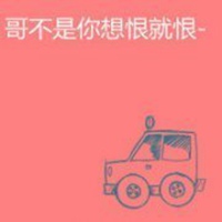 买星之守护者阿狸送头像吗