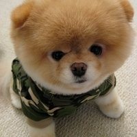 微信2次元男生正太头像