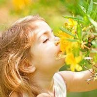 欧美萌小正太头像