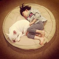 男生用小正太头像分析