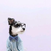 微信个性头像正太