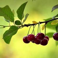 风景头像+霸气+微信头像