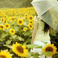 男换成风景头像