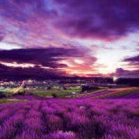 风景女生头像动漫卡通