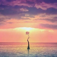 微信头像风景男生头像