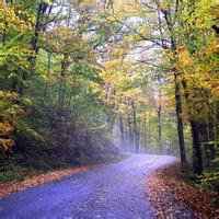 用风景做微信头像男人