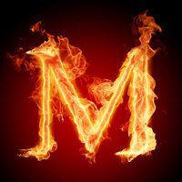 风景与花草头像