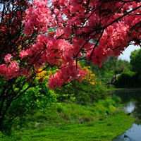 男生头像极光风景图