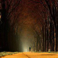 高端大气风景头像男