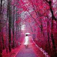 微信头像动态女生风景