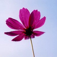 适合男生用风景头像