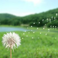 微信风景头像欧美女头像