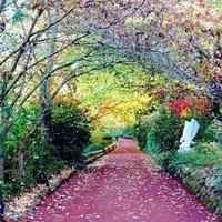 微信头像风景男生高清大图