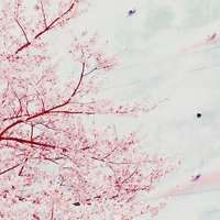 微信情侣头像一对文字风景图