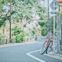 女孩风景头像