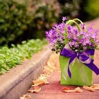 微信头像个性网风景