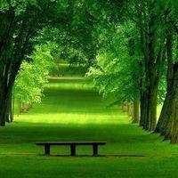 成熟男人风景带字头像