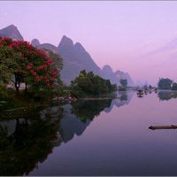 微信头像风景唯美花朵