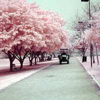 拼图头像女生风景四格