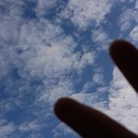 有风景人物象棋头像