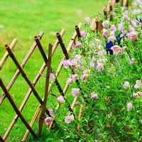 唯美微信头像风景花卉