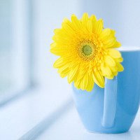 男微信头像换成风景