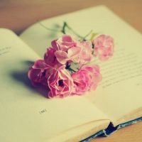 微信头像最新版风景