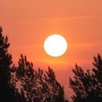 风信子微信头像风景