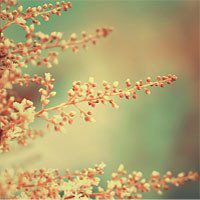 漫画头像风景唯美伤感