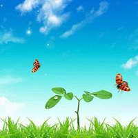 微信头像竹子山水风景