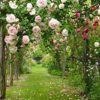 风景女生头像动漫卡通