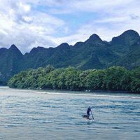 美丽四叶草风景图头像