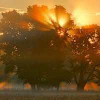 微信头像书本意境风景