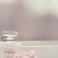 风景文字头像女生背影