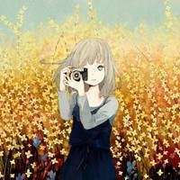 微信头像风景+太阳