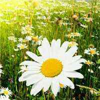 微信头像成熟美女带风景