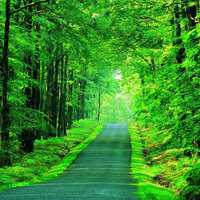 男士微信头像成熟风景