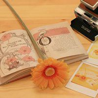 微信头像风景竹