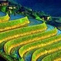 微信头像男黑白风景