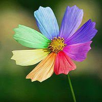 微信头像风景大海高淸