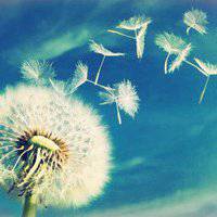 微信头像爱情意境风景