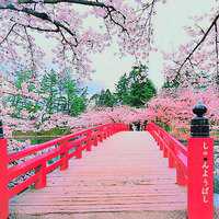 微信头像风景大海男