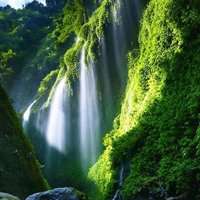 微信头像清新风景圆形