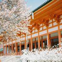 欧美人物风景头像女生头像